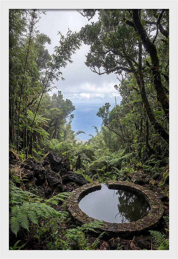 Green Mountain Cloud Forest Serenity