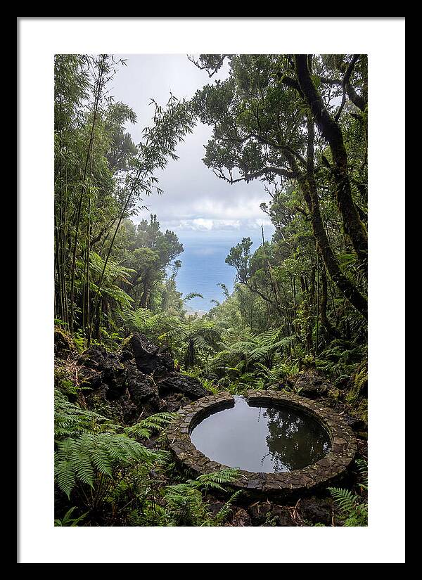 Green Mountain Cloud Forest Serenity
