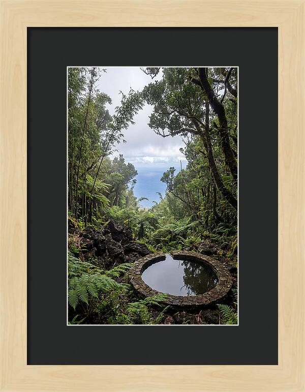 Green Mountain Cloud Forest Serenity