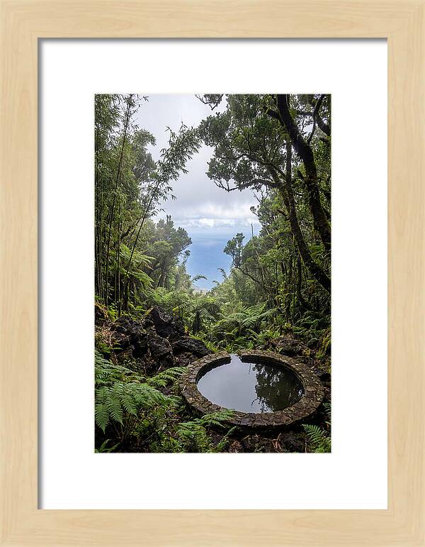 Green Mountain Cloud Forest Serenity