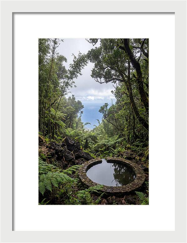 Green Mountain Cloud Forest Serenity