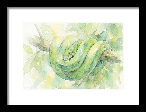 Green Tree Python Among Leaves