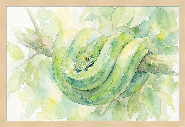 Green Tree Python Among Leaves