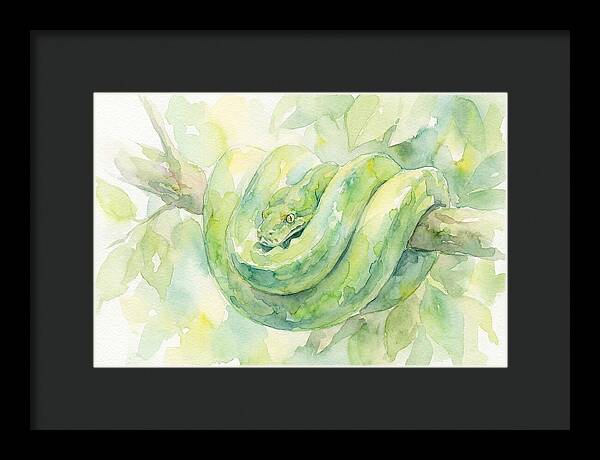 Green Tree Python Among Leaves