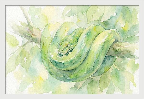 Green Tree Python Among Leaves