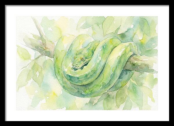 Green Tree Python Among Leaves