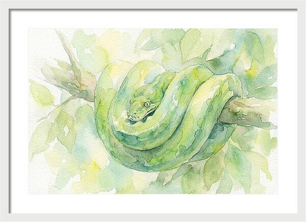 Green Tree Python Among Leaves