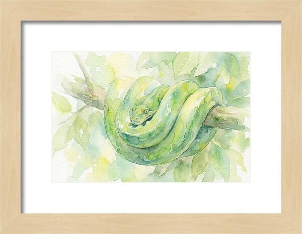 Green Tree Python Among Leaves
