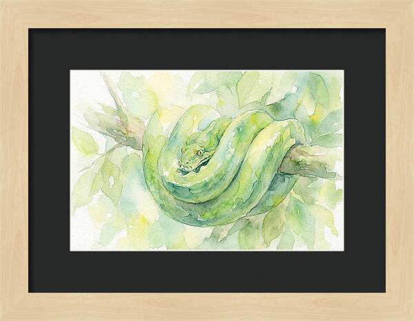 Green Tree Python Among Leaves