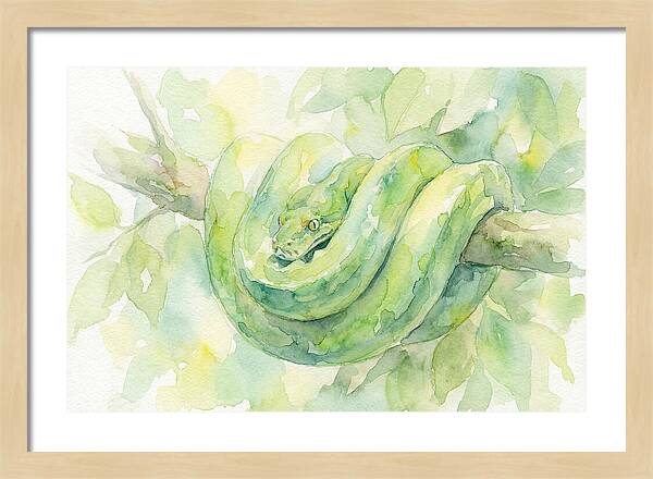 Green Tree Python Among Leaves
