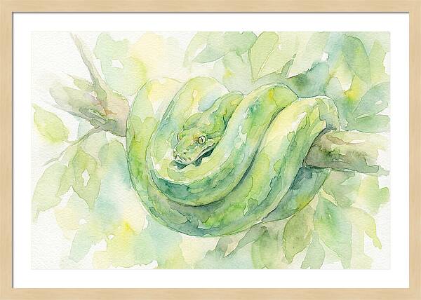 Green Tree Python Among Leaves