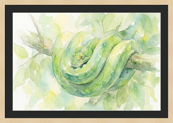 Green Tree Python Among Leaves