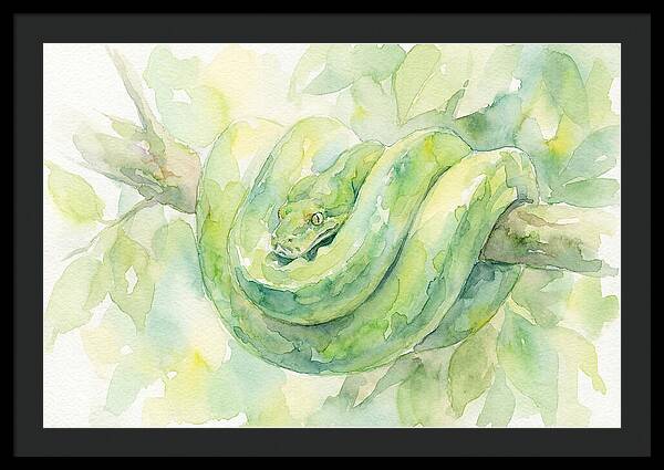 Green Tree Python Among Leaves