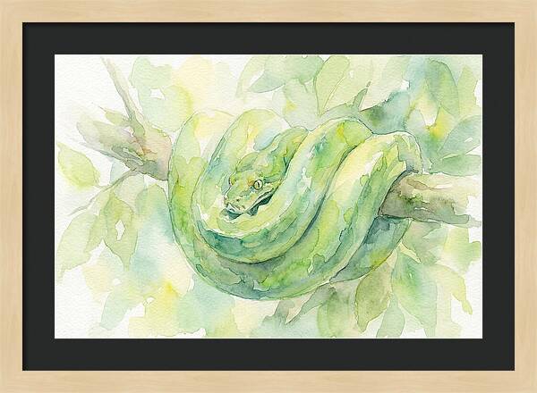 Green Tree Python Among Leaves