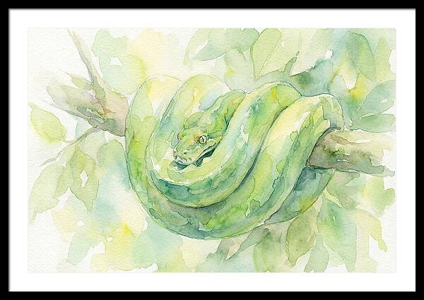 Green Tree Python Among Leaves