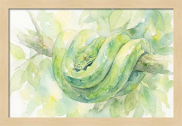 Green Tree Python Among Leaves
