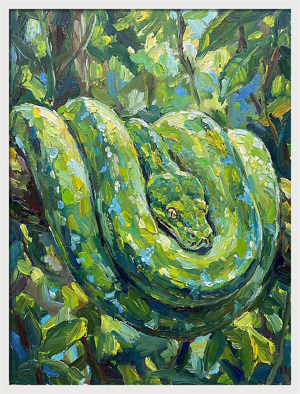 Green Tree Python In Lush Habitat