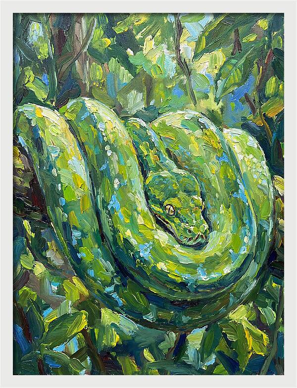 Green Tree Python In Lush Habitat