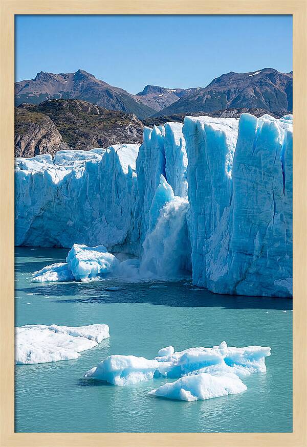 Grey Glacier Majesty