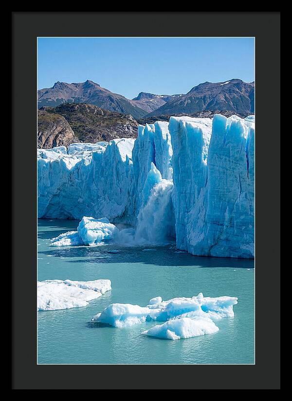 Grey Glacier Majesty