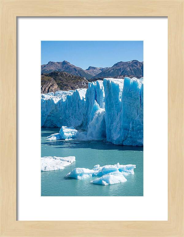Grey Glacier Majesty