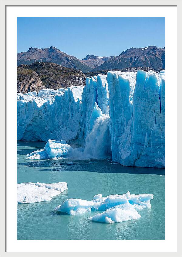 Grey Glacier Majesty