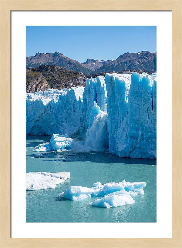 Grey Glacier Majesty