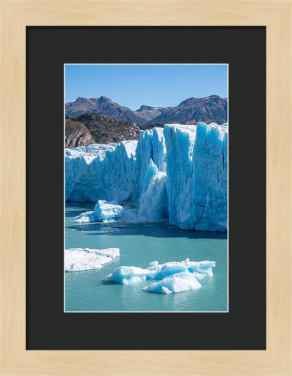 Grey Glacier Majesty