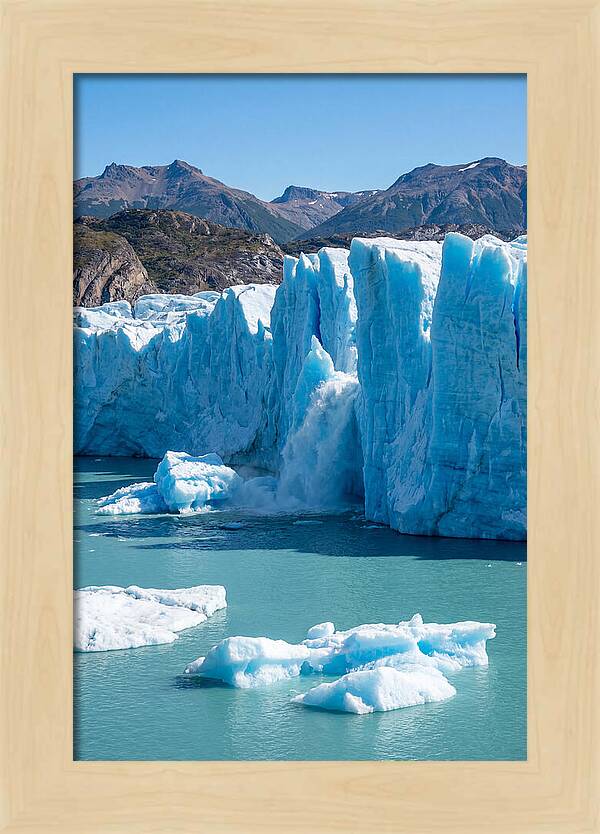 Grey Glacier Majesty