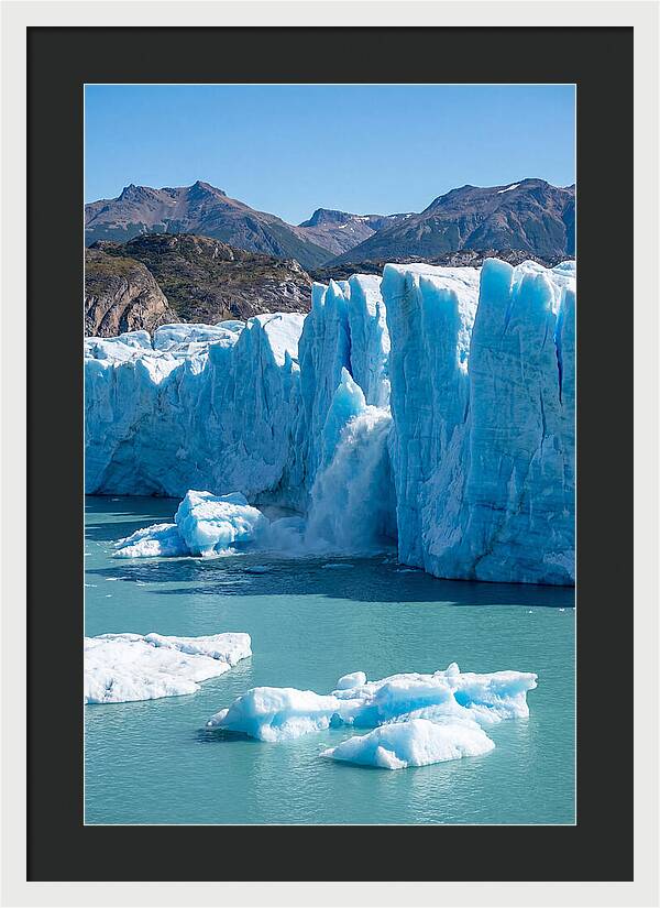 Grey Glacier Majesty