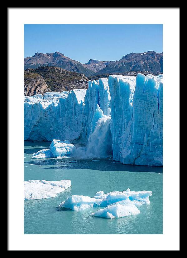 Grey Glacier Majesty