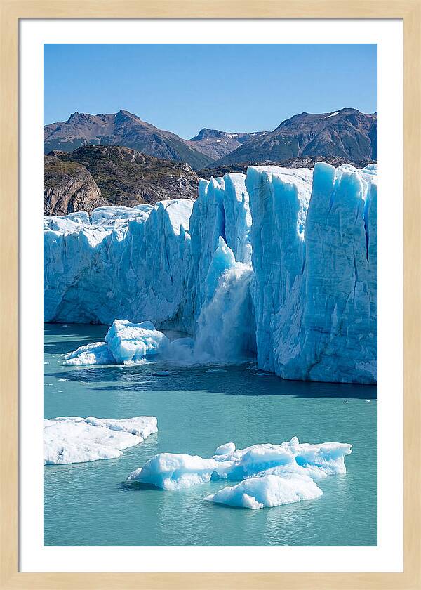 Grey Glacier Majesty