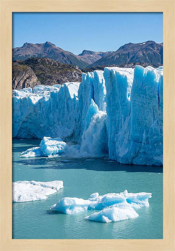 Grey Glacier Majesty