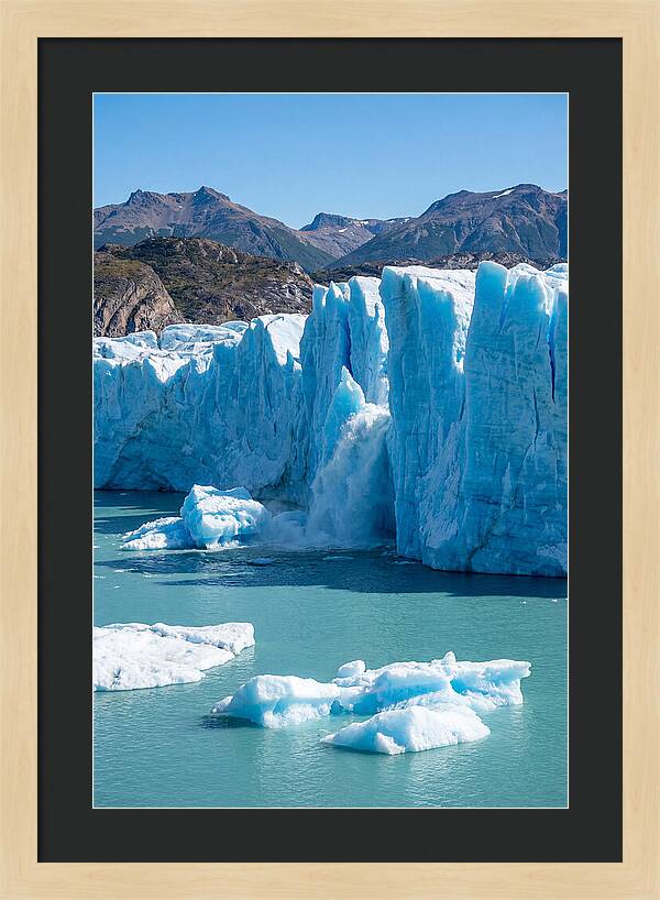 Grey Glacier Majesty