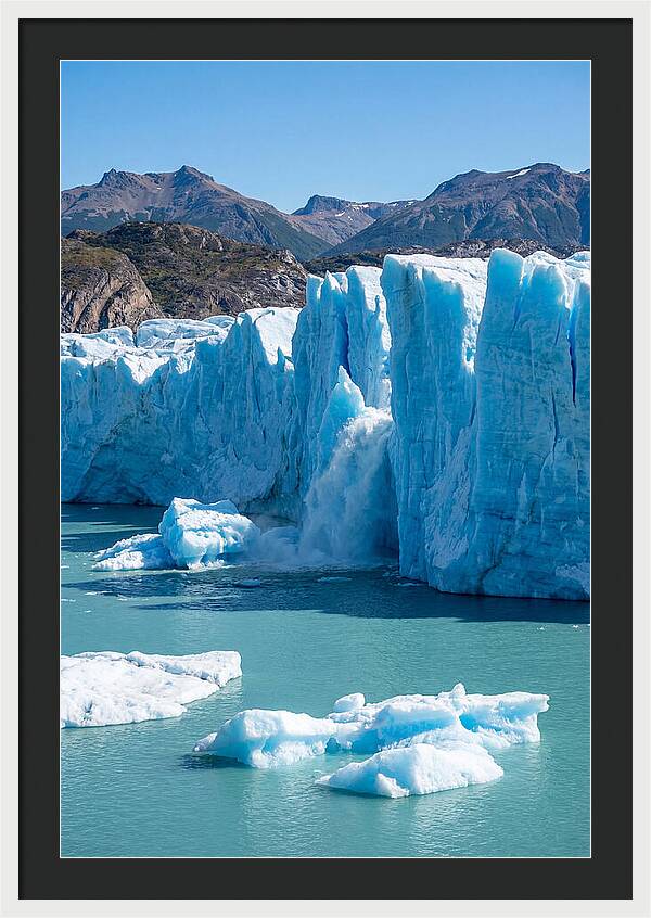 Grey Glacier Majesty