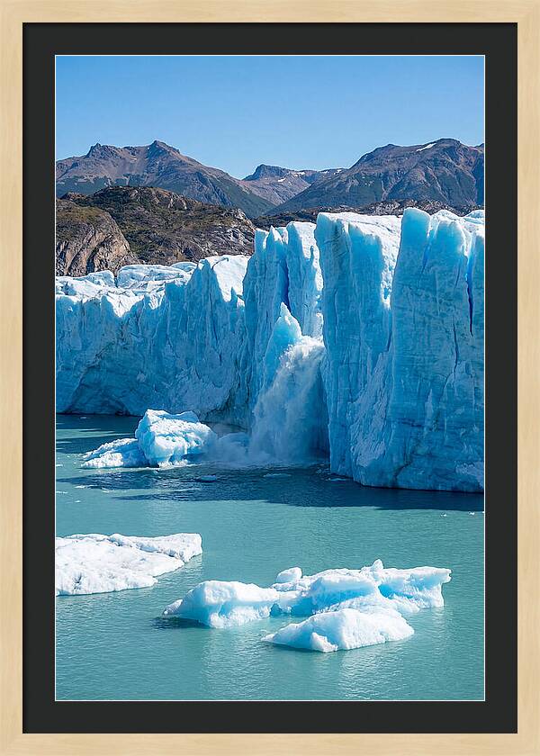 Grey Glacier Majesty