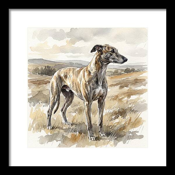 Greyhound In Nature