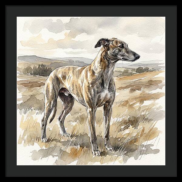 Greyhound In Nature
