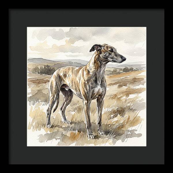 Greyhound In Nature