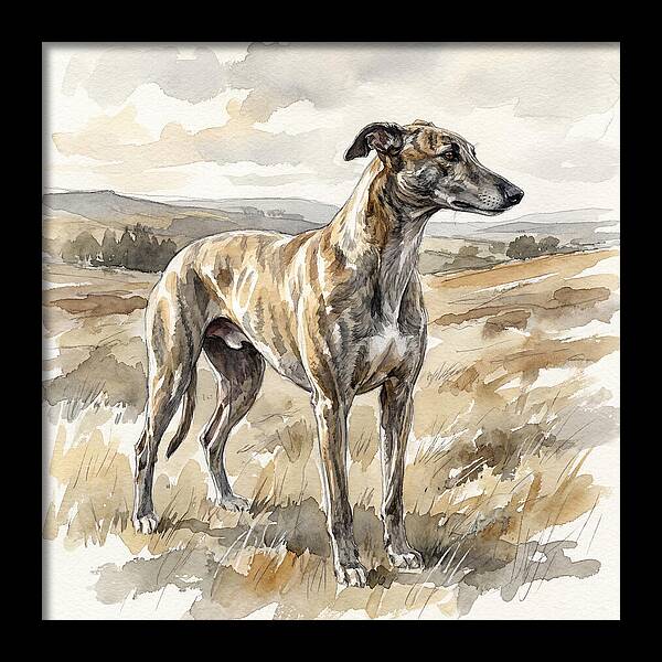 Greyhound In Nature