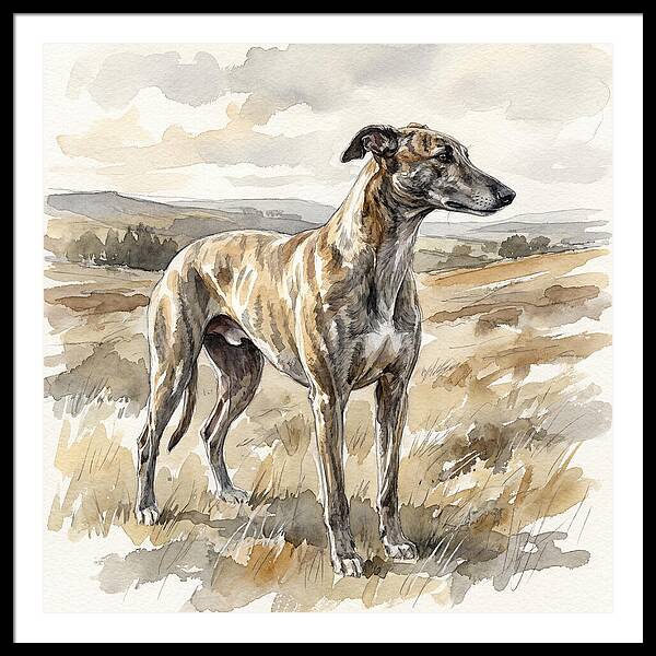 Greyhound In Nature
