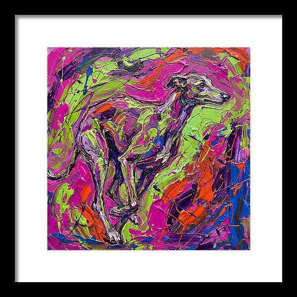 Greyhound In Vibrant Motion
