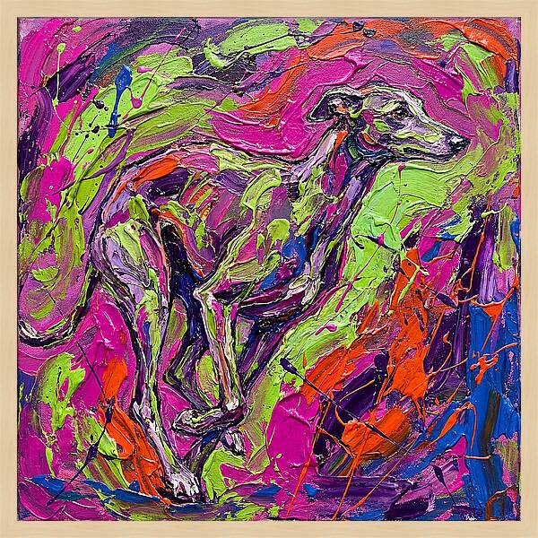 Greyhound In Vibrant Motion