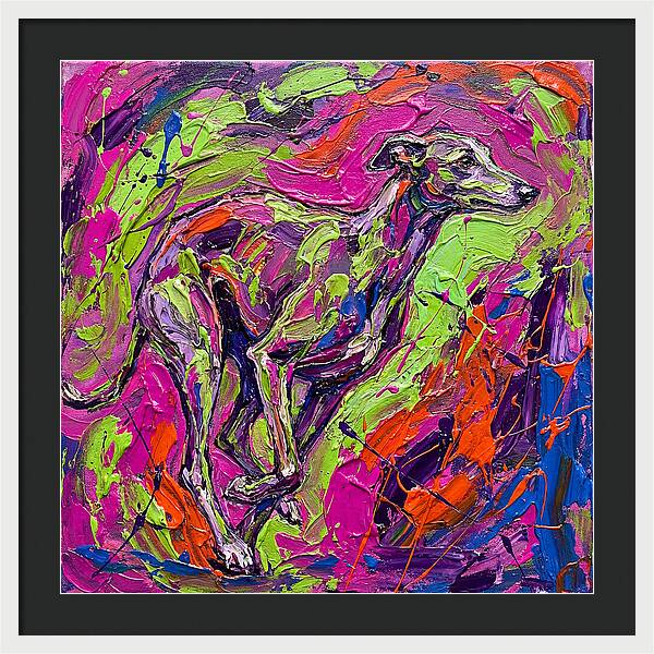 Greyhound In Vibrant Motion