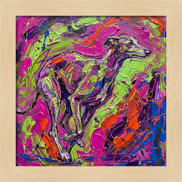 Greyhound In Vibrant Motion