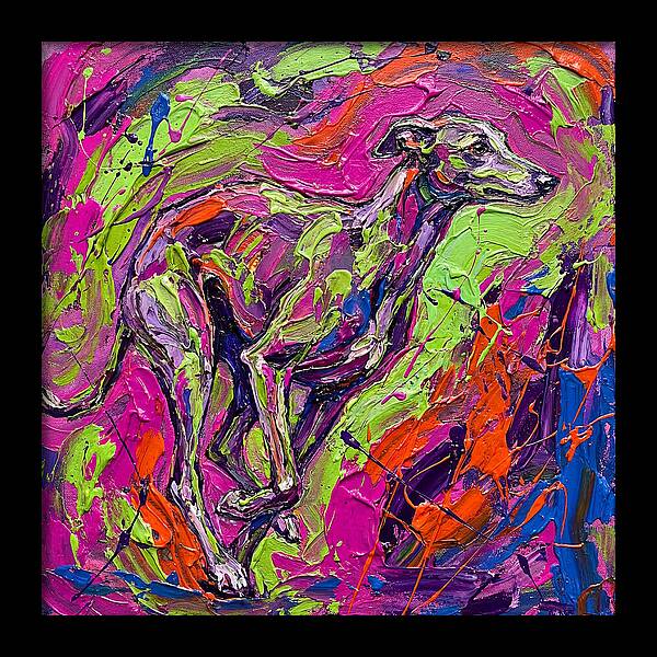 Greyhound In Vibrant Motion