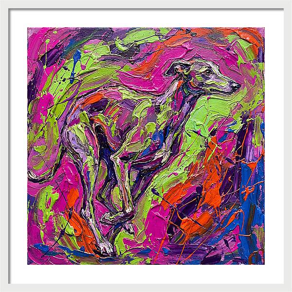 Greyhound In Vibrant Motion
