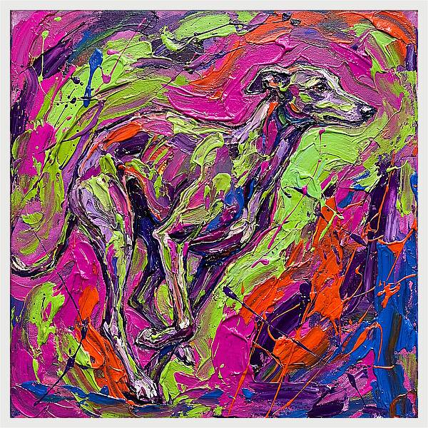 Greyhound In Vibrant Motion