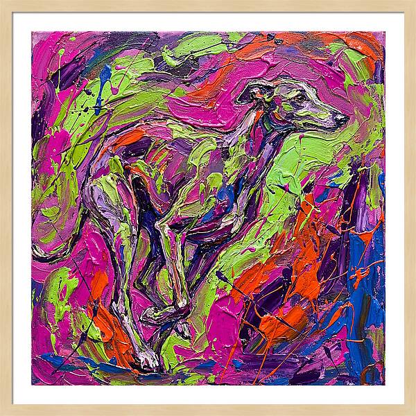 Greyhound In Vibrant Motion