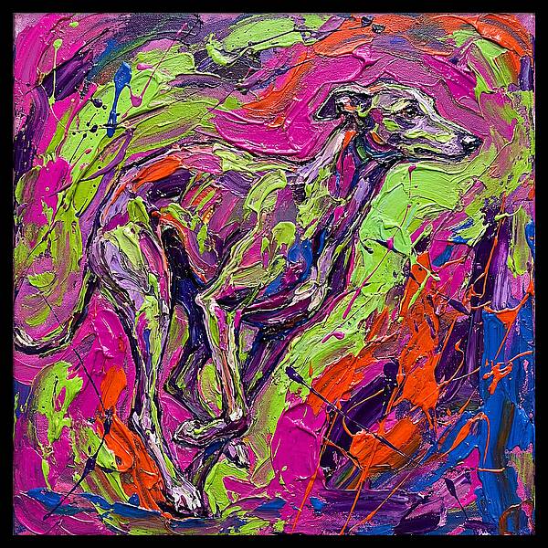Greyhound In Vibrant Motion